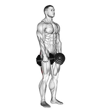 Dumbbell Stiff-Leg Deadlift