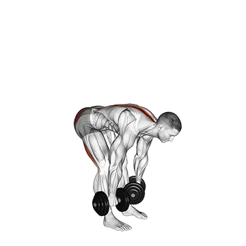 Dumbbell Straight-Leg Deadlift