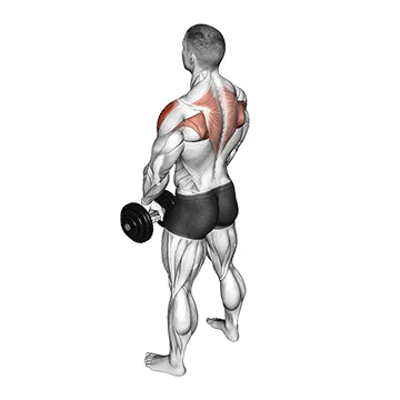 Dumbbell Upright Row
