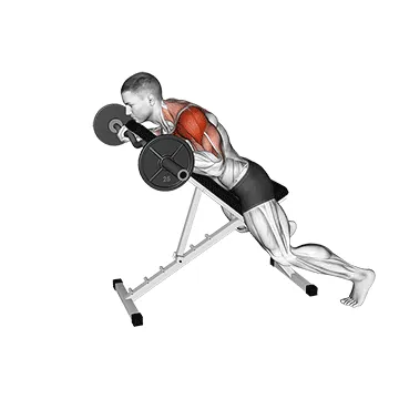 EZ Barbell Anti Gravity Press