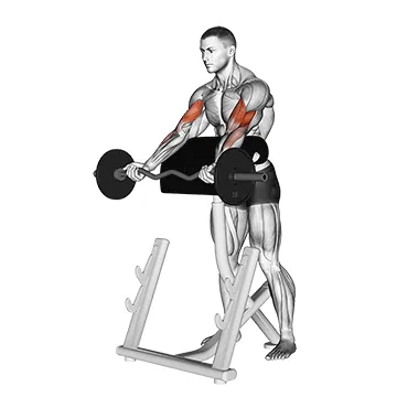Standing Barbell Preacher Curl