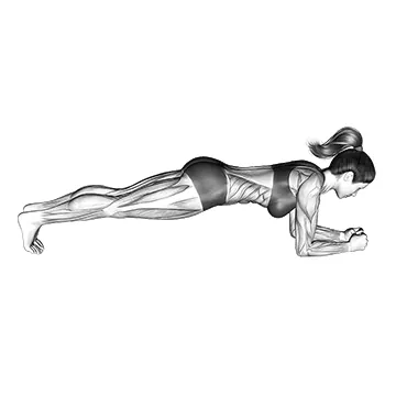 Front Plank