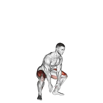 Jump Squat (VERSION 2)