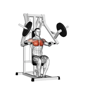 Lever Chest Press (plate loaded)