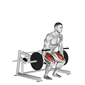 Lever Deadlift (plate loaded)