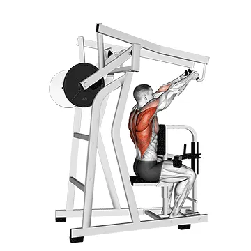 Machine High Row