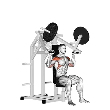 Lever Military Press (plate loaded)