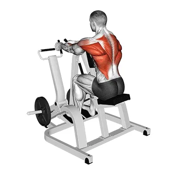 Lever Neutral Grip Seated Row (plate loaded)