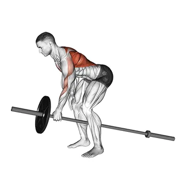Lever One Arm Bent over Row (plate loaded)