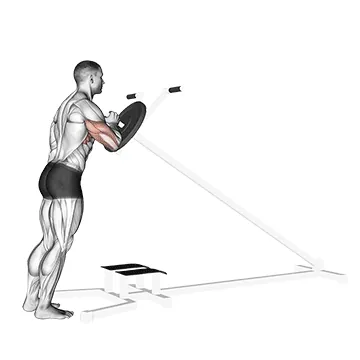 Lever One Arm Shoulder Press (plate loaded)