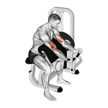Lever Preacher Curl