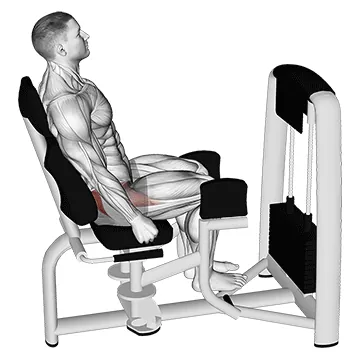 Hip Abduction Machine