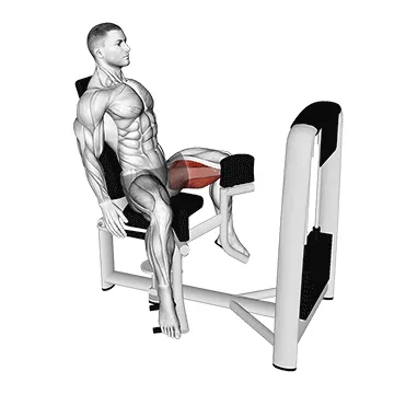 Lever Seated Hip Adduction
