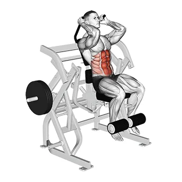 Lever Seated Leg Raise Crunch (plate loaded)