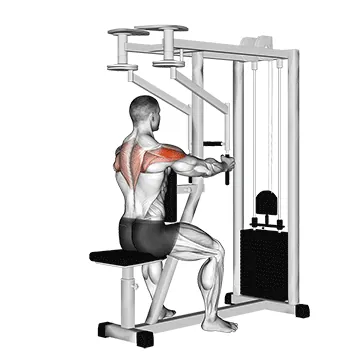 Lever Seated Reverse Fly (parallel grip)