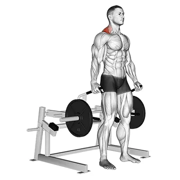 Lever Shrug (plate loaded)