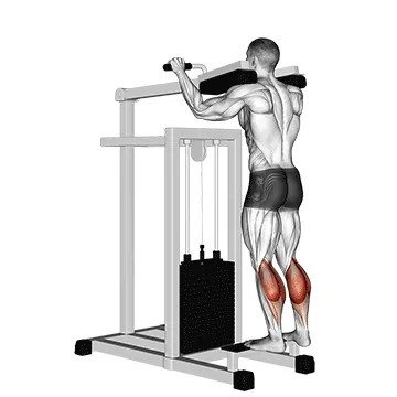 Standing Calf Raise