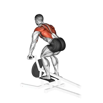 Lever T bar Row (plate loaded)