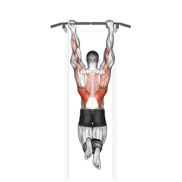 Mixed Grip Chin Up