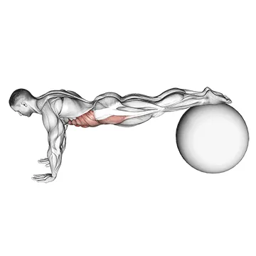 Pull In (on stability ball)