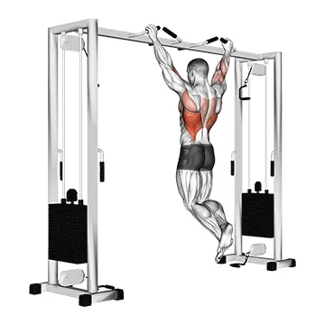 Neutral-Grip Pull Up