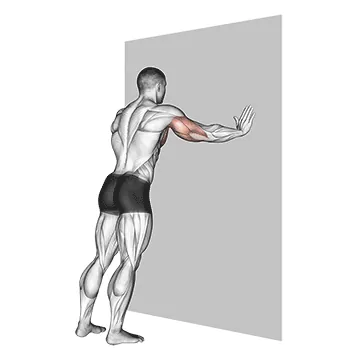 Push Up (wall) II