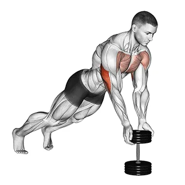 Push Up Close Grip off Dumbbell