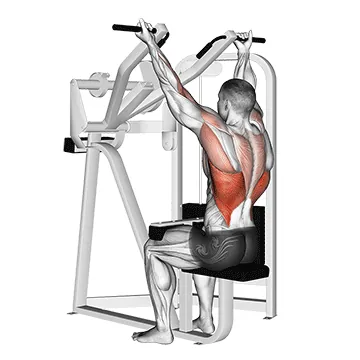Reverse-Grip Lat Pulldown
