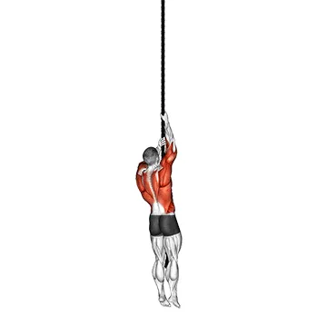 Rope Climb