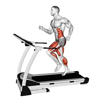 Run (equipment)