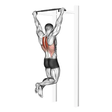 Scapular Pull Up