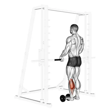 Single-Leg Calf Raise on Dumbbell