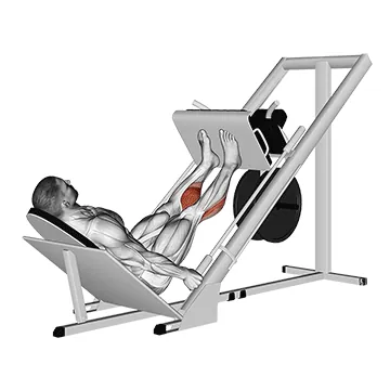 Sled 45 Calf Press