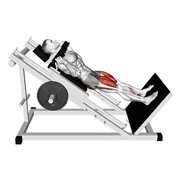 Hack Squat