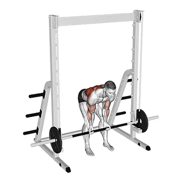 Smith Bent Over Narrow Supinated Grip Row