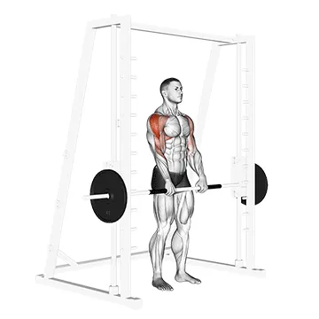 Smith Machine Row