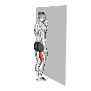 Standing Single Leg Curl