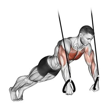 Suspended Push Up