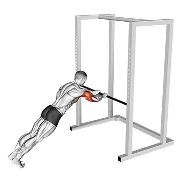 Triceps Press