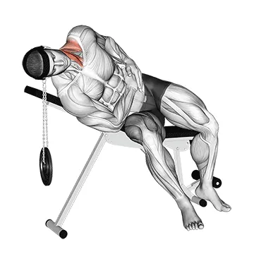 Weighted Lying Side Lifting Head (with head harness)