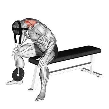 Weighted Seated Neck Extension (with head harness)