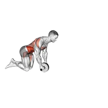 Ab Wheel Rollout