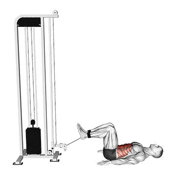 Cable Reverse Crunch