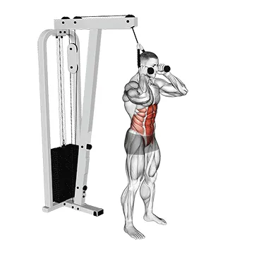 Cable Standing Crunch (with rope attachment)