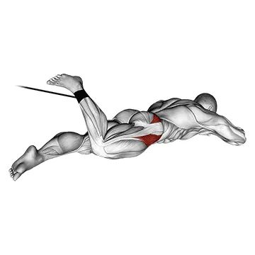 Band Lying Hip Internal Rotatio