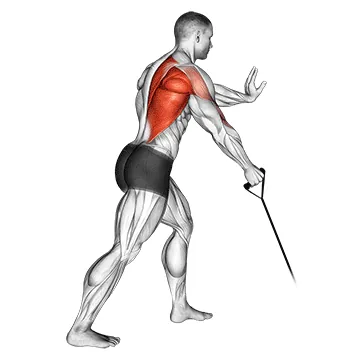 Band one arm Standing Low Row
