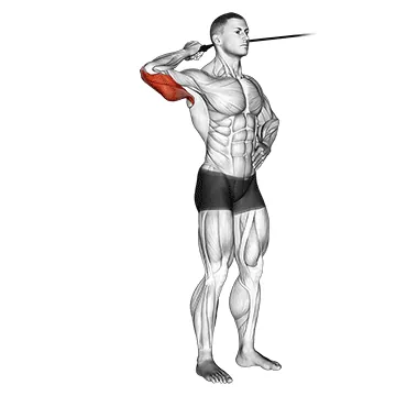 Band side triceps extension
