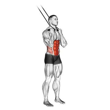 Band standing crunch
