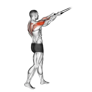 Band standing rear delt row