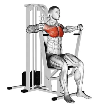 Lever Parallel Chest Press